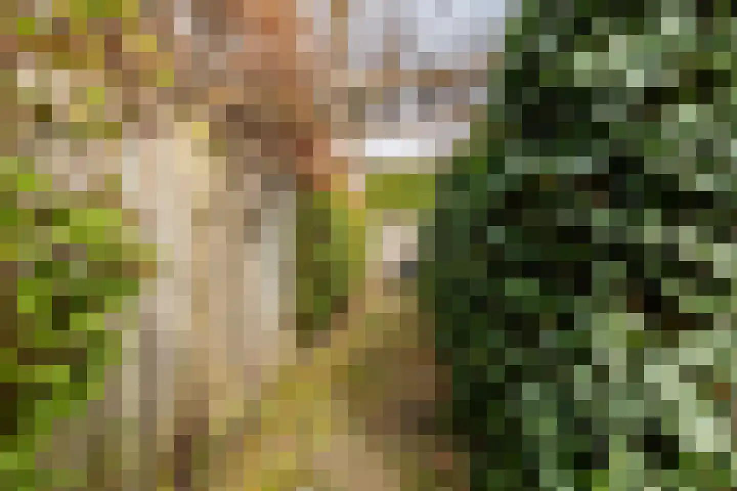 Kortestraat 20 Breda thumbnail 36