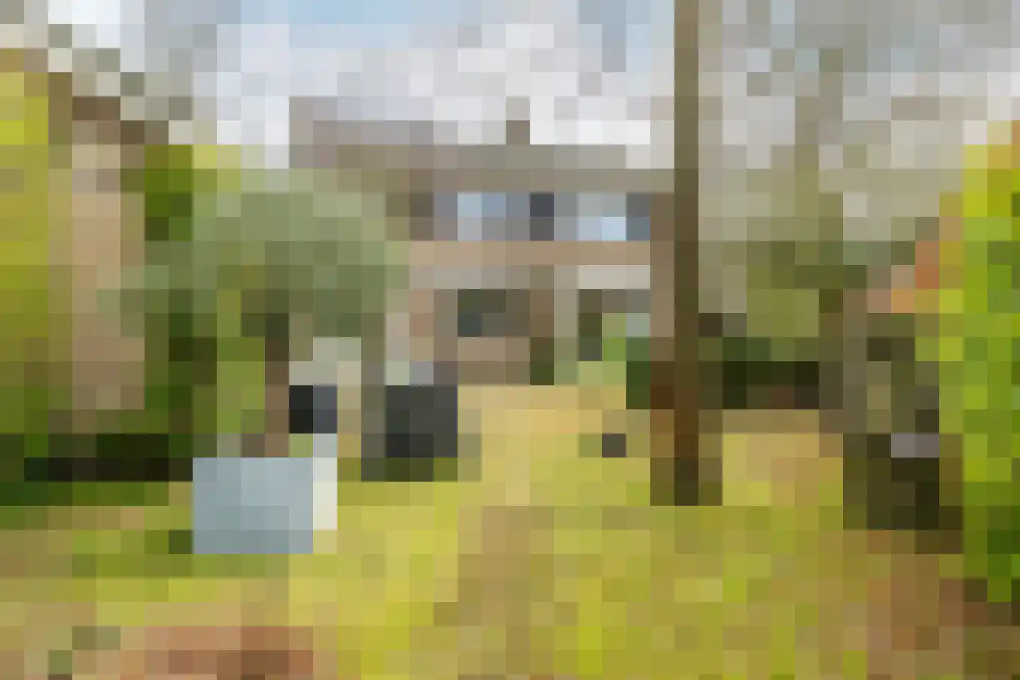 Kortestraat 20 Breda thumbnail 37