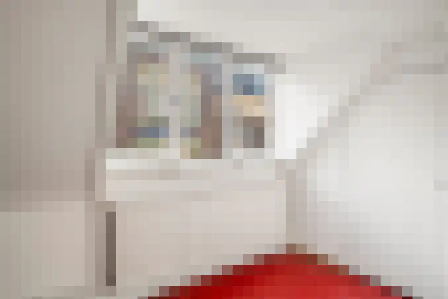 Kortestraat 21 Arnhem thumbnail 40