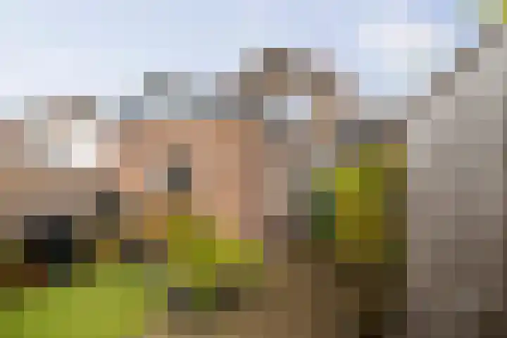 Kortestraat 3 Deventer thumbnail 16