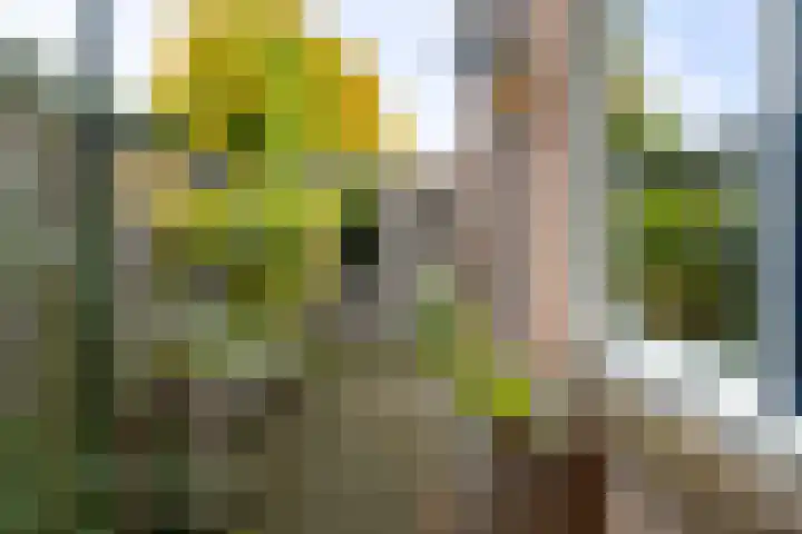 Kortestraat 3 Deventer thumbnail 18