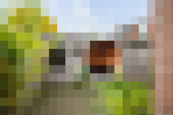 Kortestraat 3 Deventer thumbnail 4
