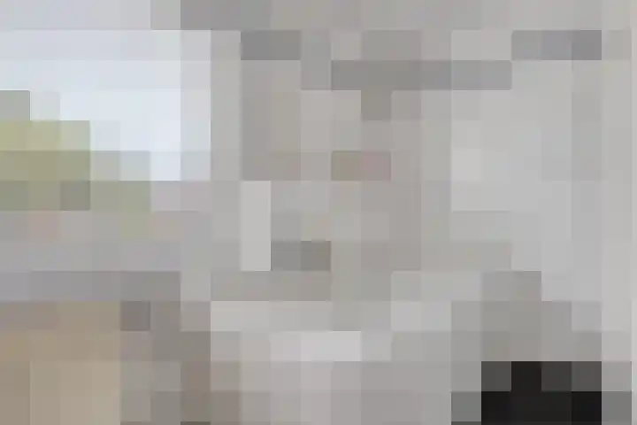 Kortestraat 5 Bakel thumbnail 31