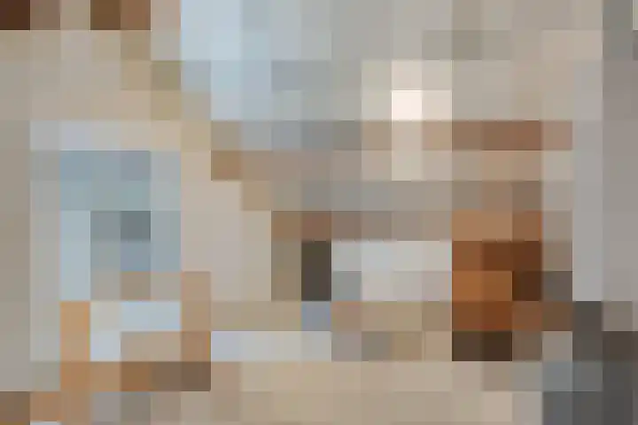 Kortestraat 5 Bakel thumbnail 35