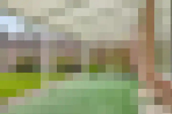 Kortestraat 5 Bakel thumbnail 36