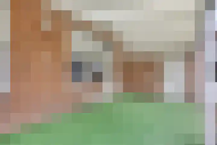 Kortestraat 5 Bakel thumbnail 37