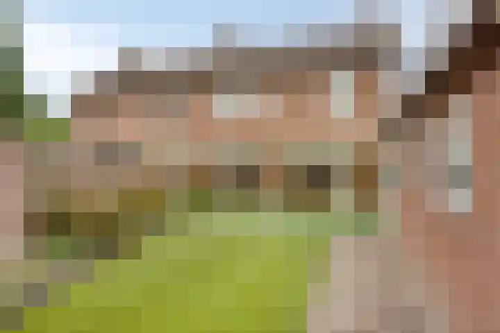Kortestraat 5 Bakel thumbnail 40