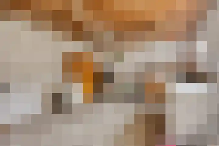 Kortestraat 5 Bakel thumbnail 42