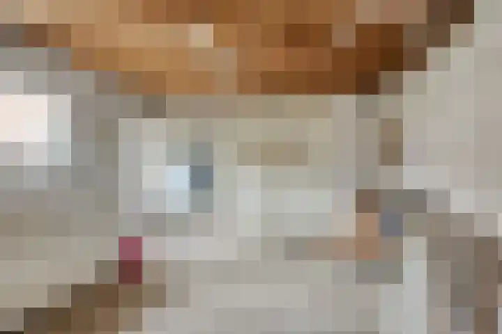 Kortestraat 5 Bakel thumbnail 43