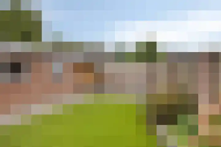 Kortestraat 5 Bakel thumbnail 6