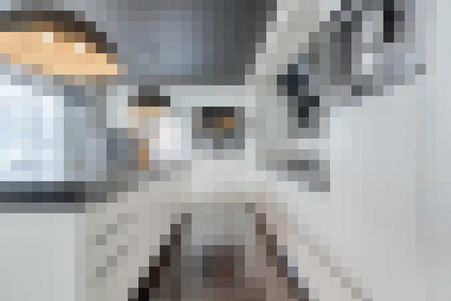 Kortestraat 5 Raalte thumbnail 23