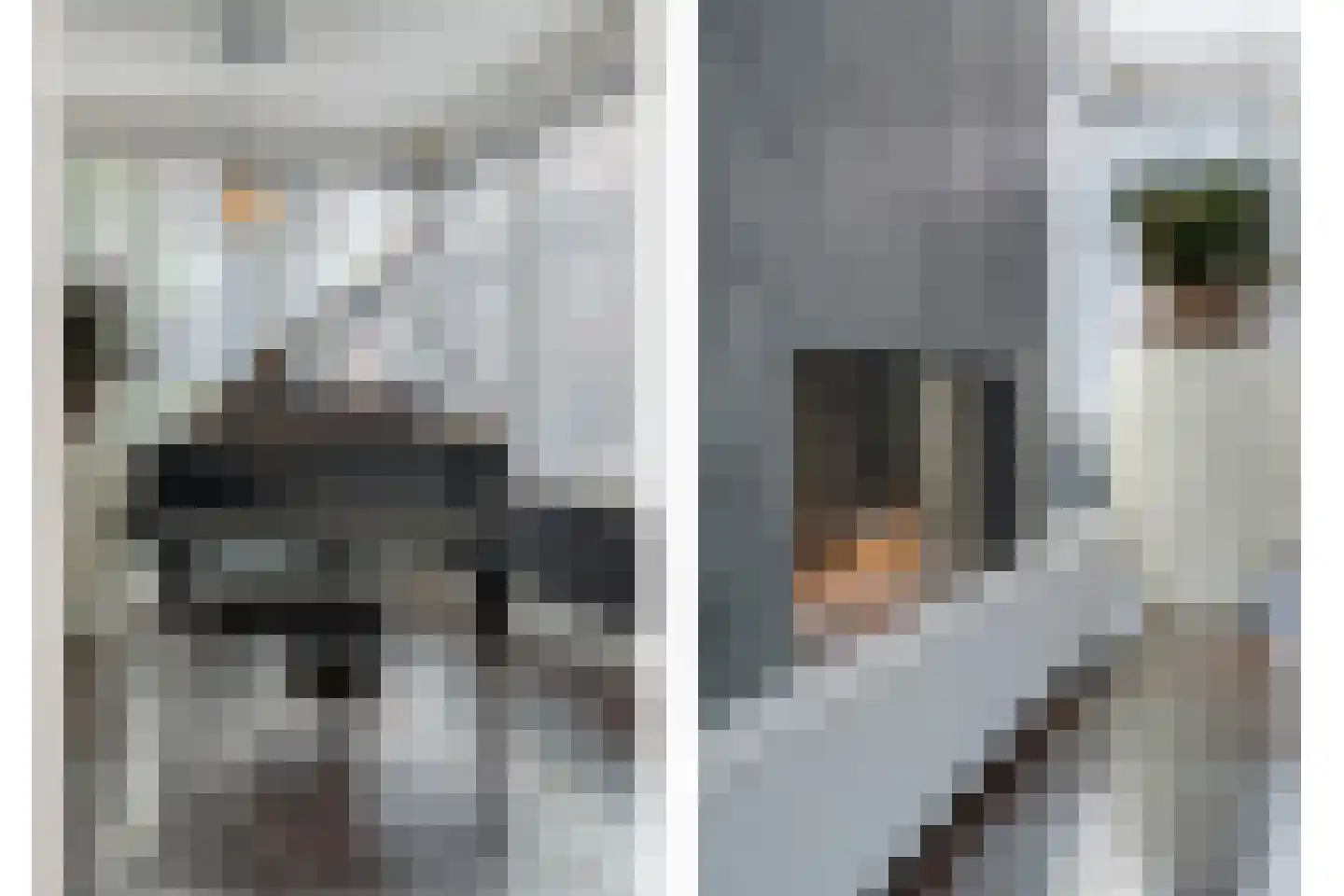 Kortestraat 5 Raalte thumbnail 29
