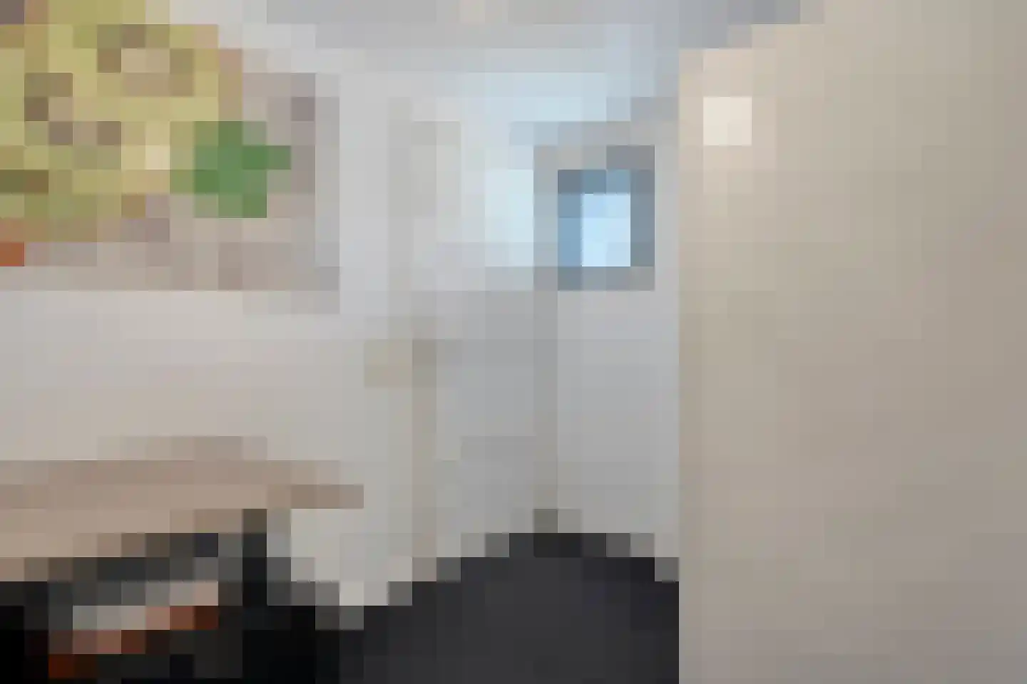 Kortestraat 5 Raalte thumbnail 37