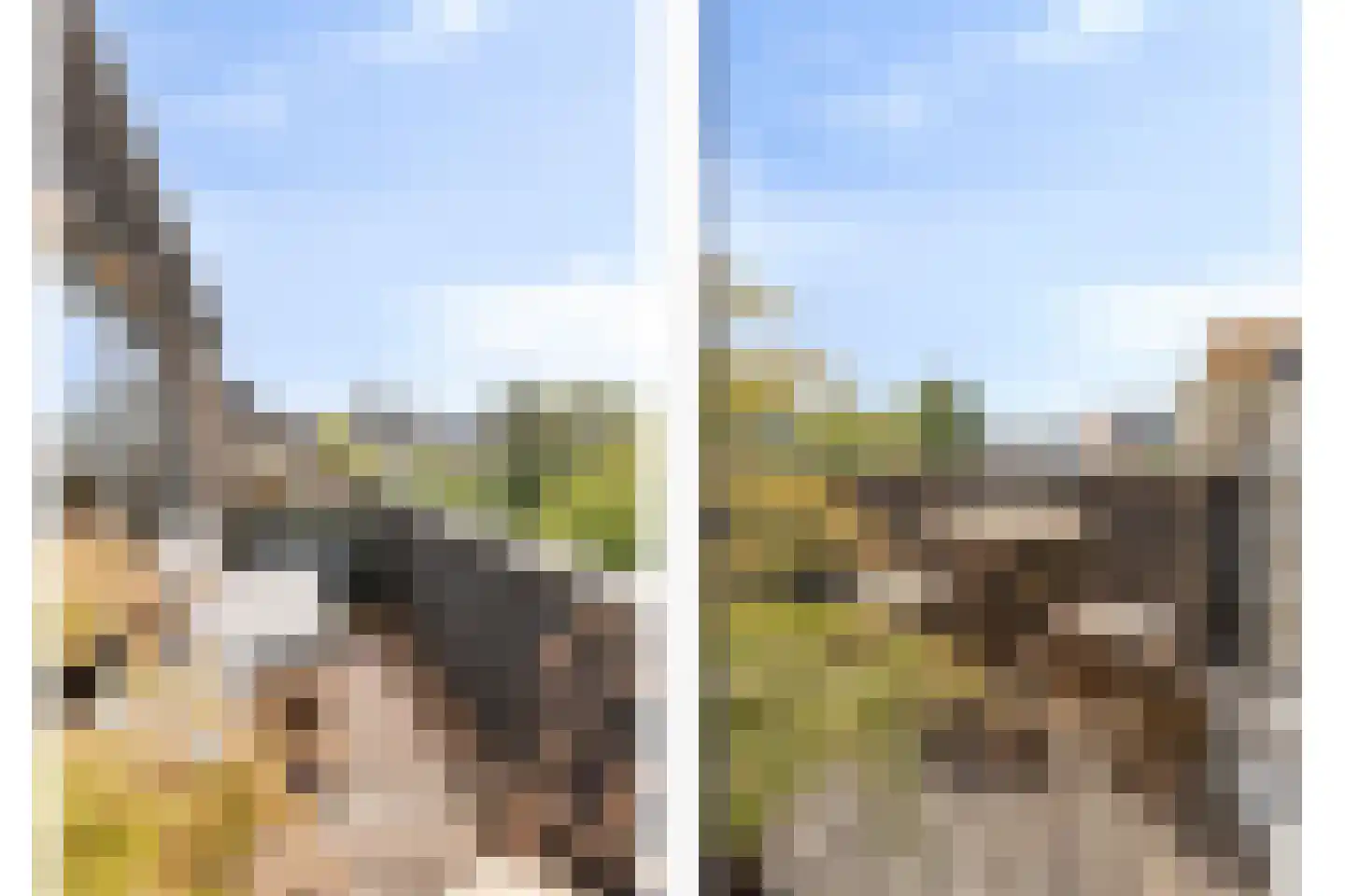 Kortestraat 5 Wageningen thumbnail 10