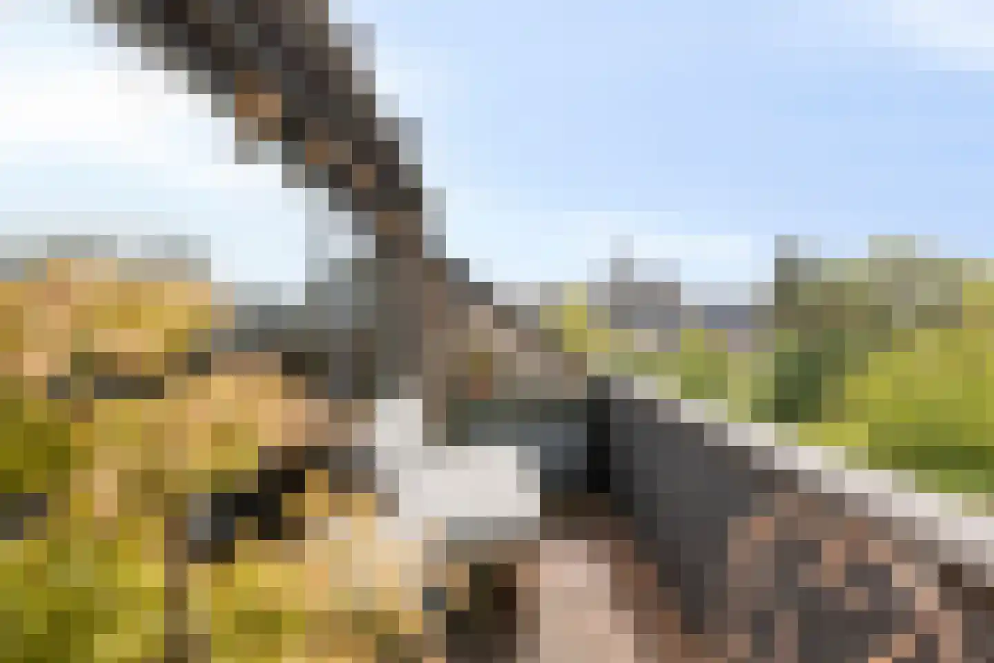 Kortestraat 5 Wageningen thumbnail 20