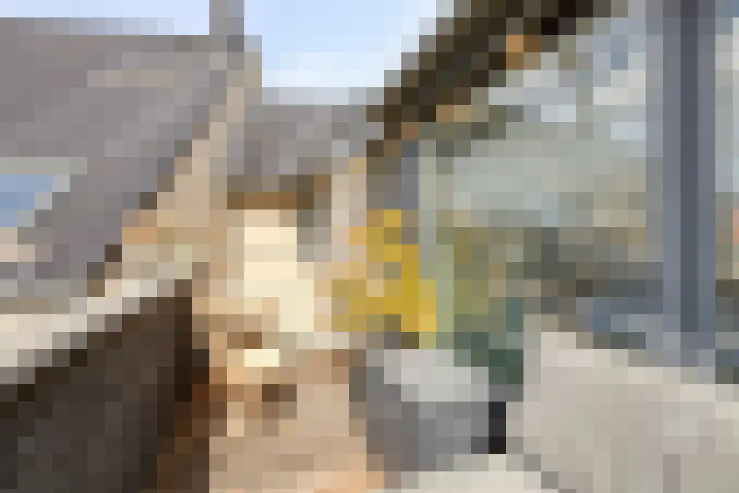 Kortestraat 5 Wageningen thumbnail 21