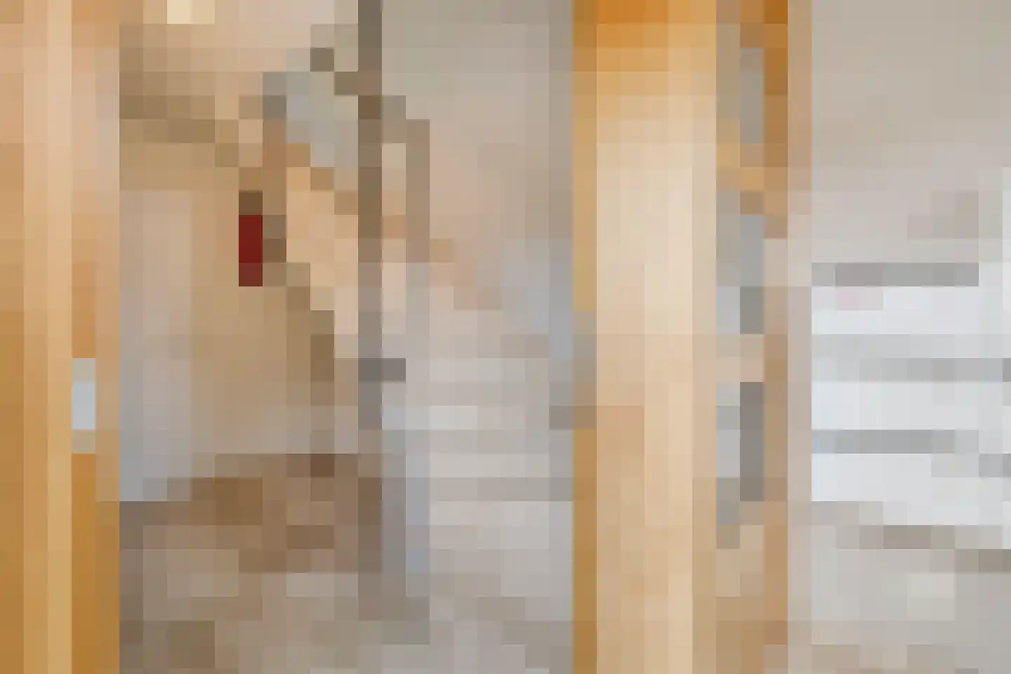 Kortestraat 5 Wageningen thumbnail 26