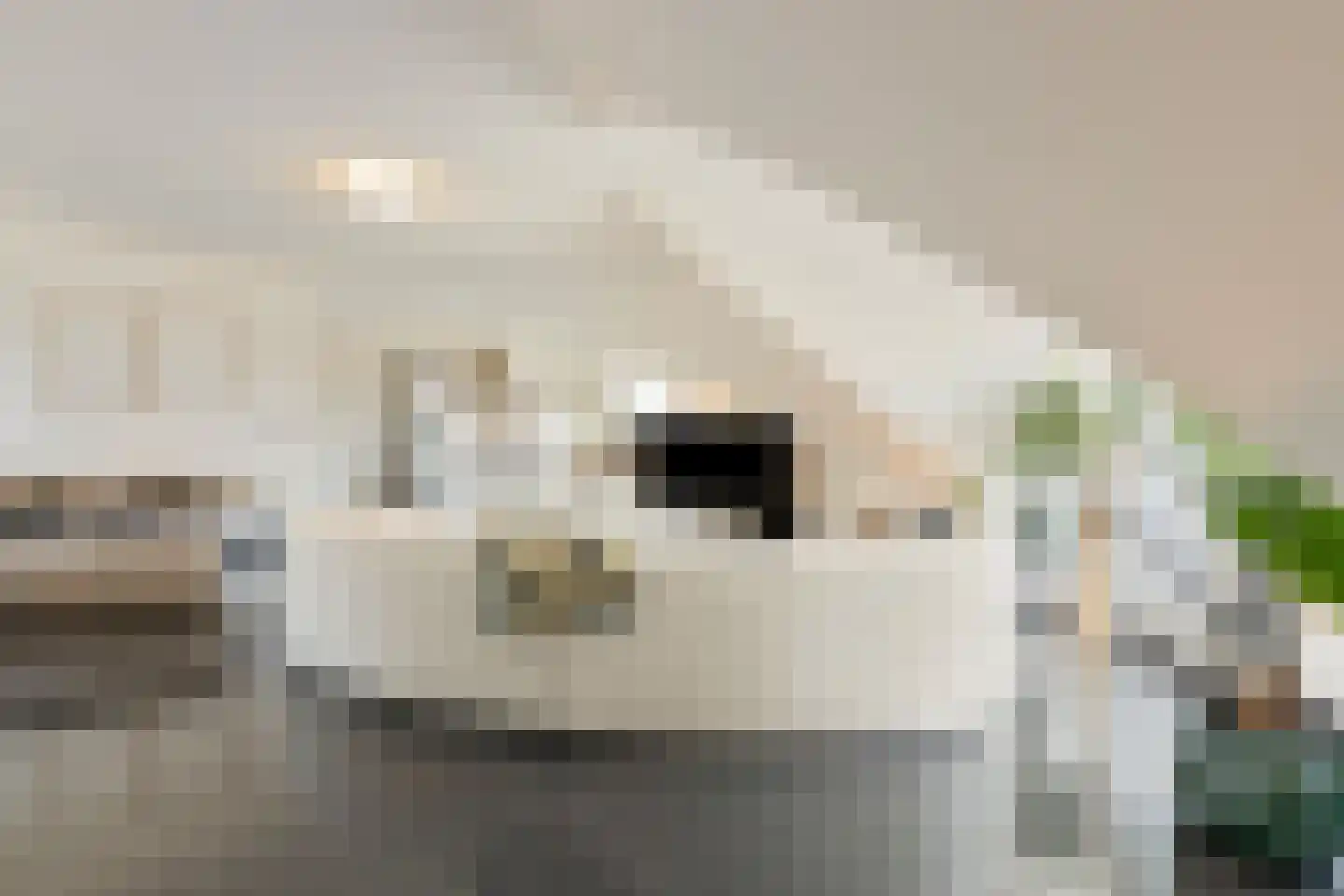 Kortestraat 5 Wageningen thumbnail 29