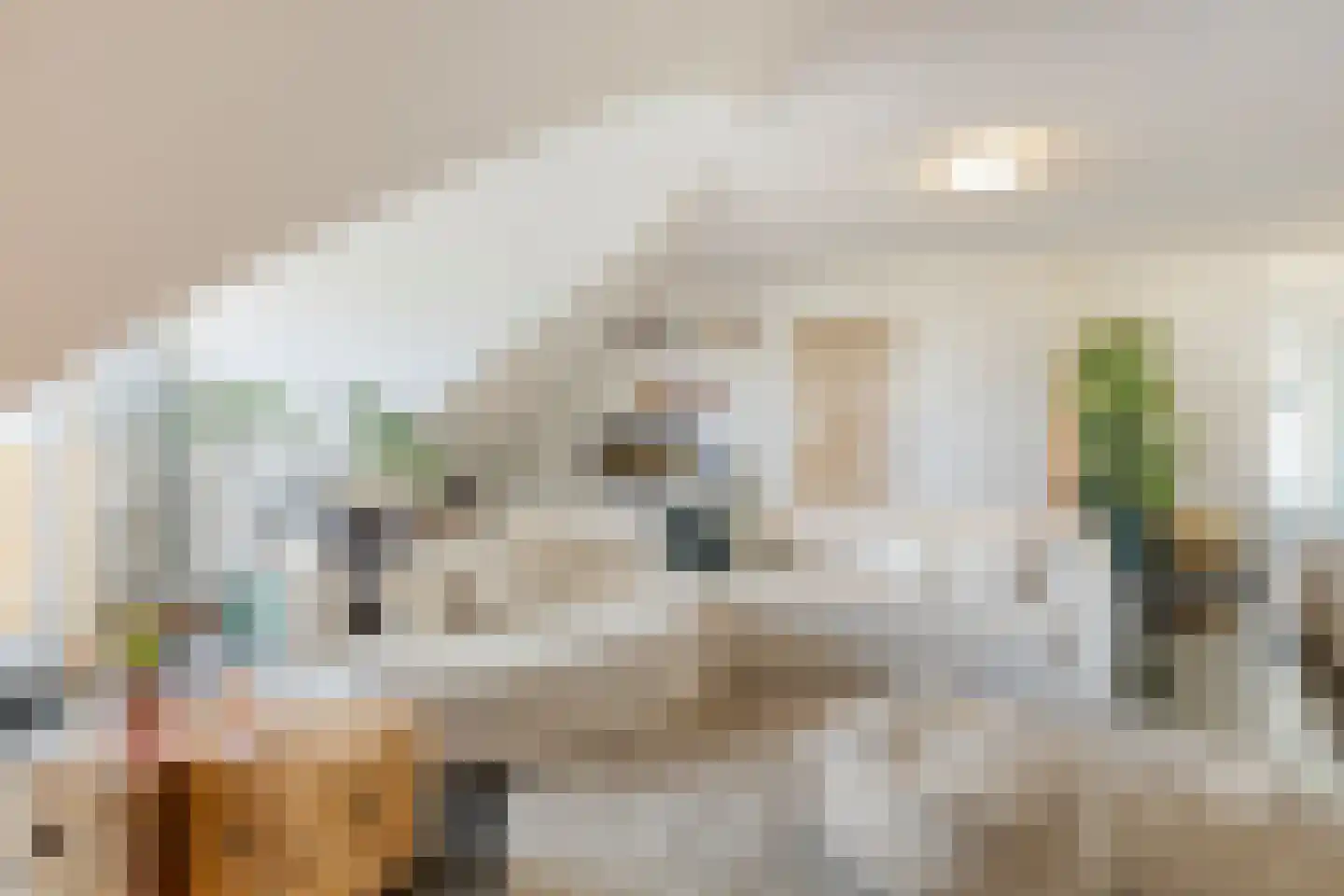 Kortestraat 5 Wageningen thumbnail 30