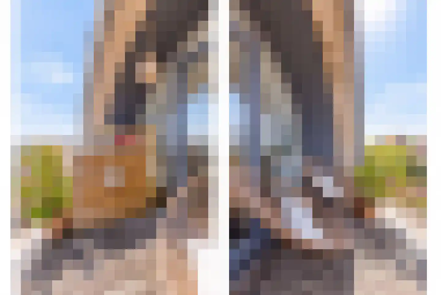 Kortestraat 5 Wageningen thumbnail 38