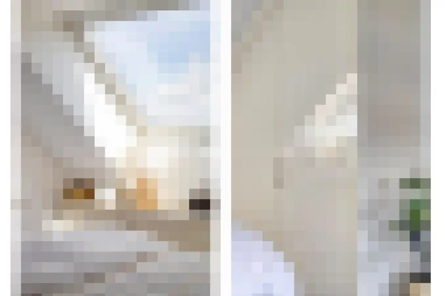 Kortestraat 5 Wageningen thumbnail 4