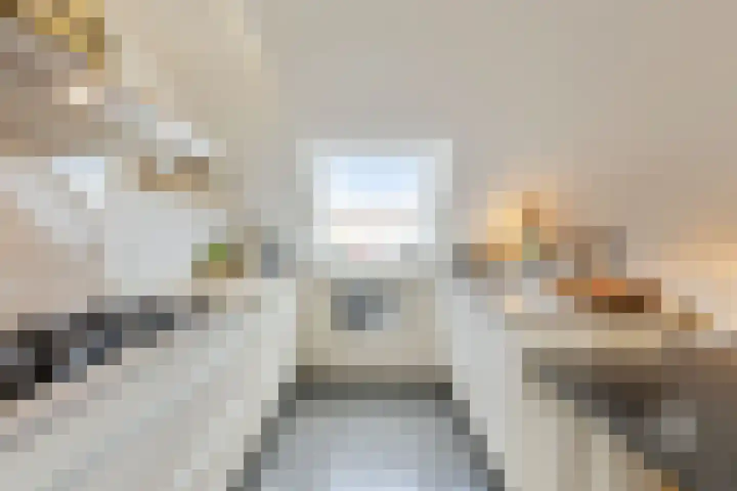 Kortestraat 5 Wageningen thumbnail 41