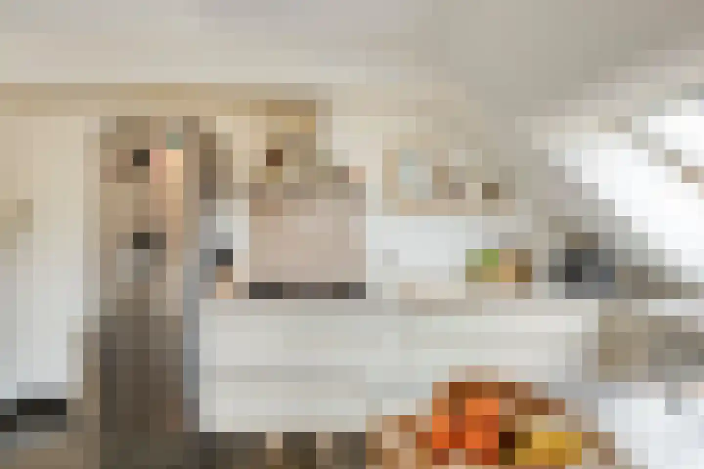 Kortestraat 5 Wageningen thumbnail 42