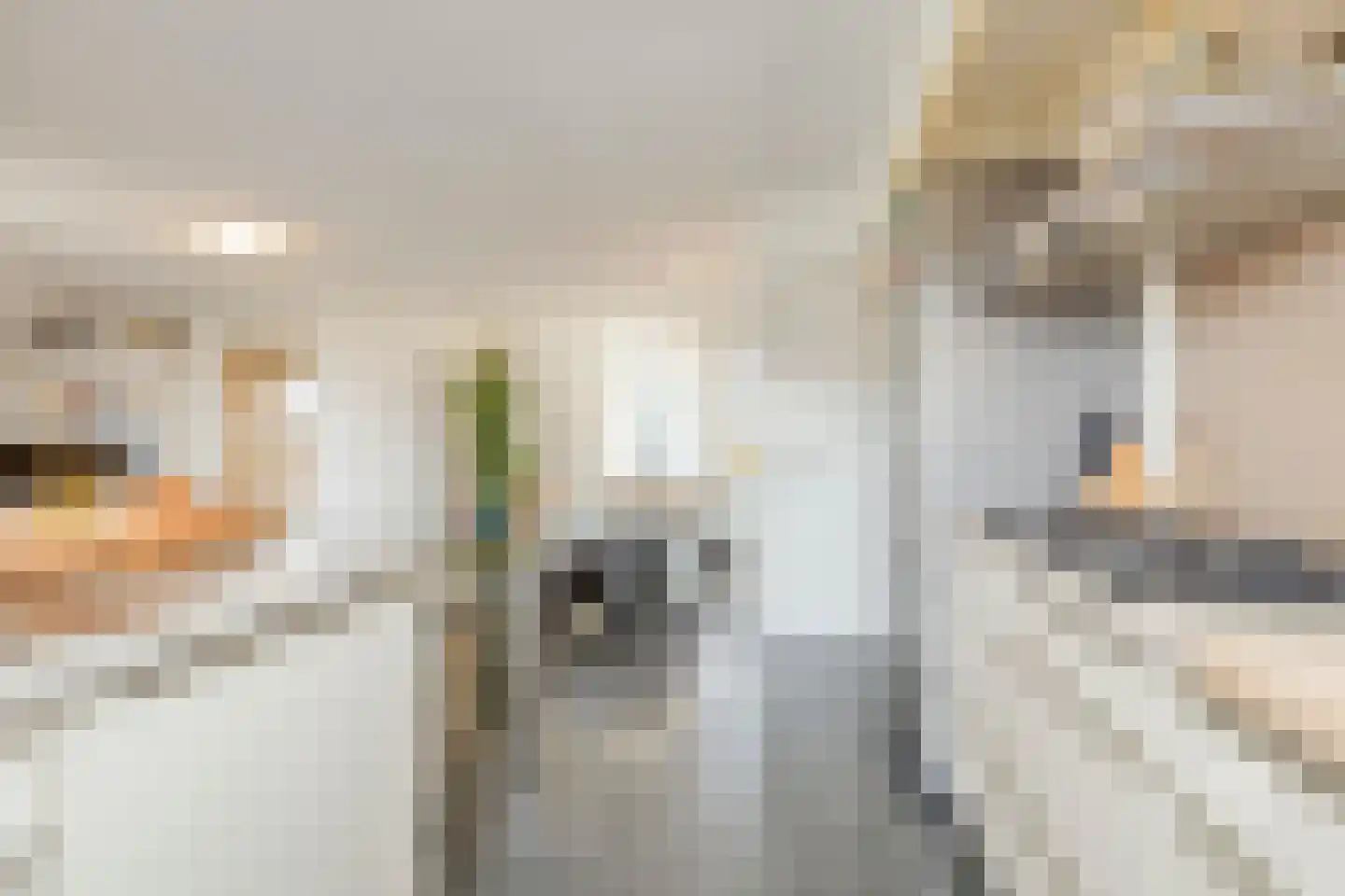 Kortestraat 5 Wageningen thumbnail 44