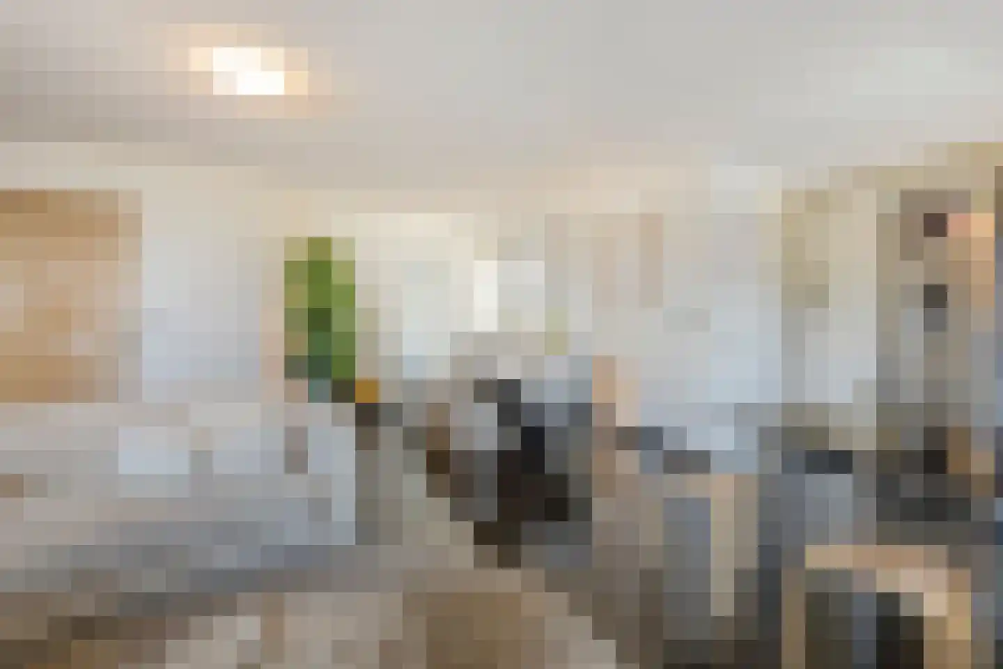 Kortestraat 5 Wageningen thumbnail 45