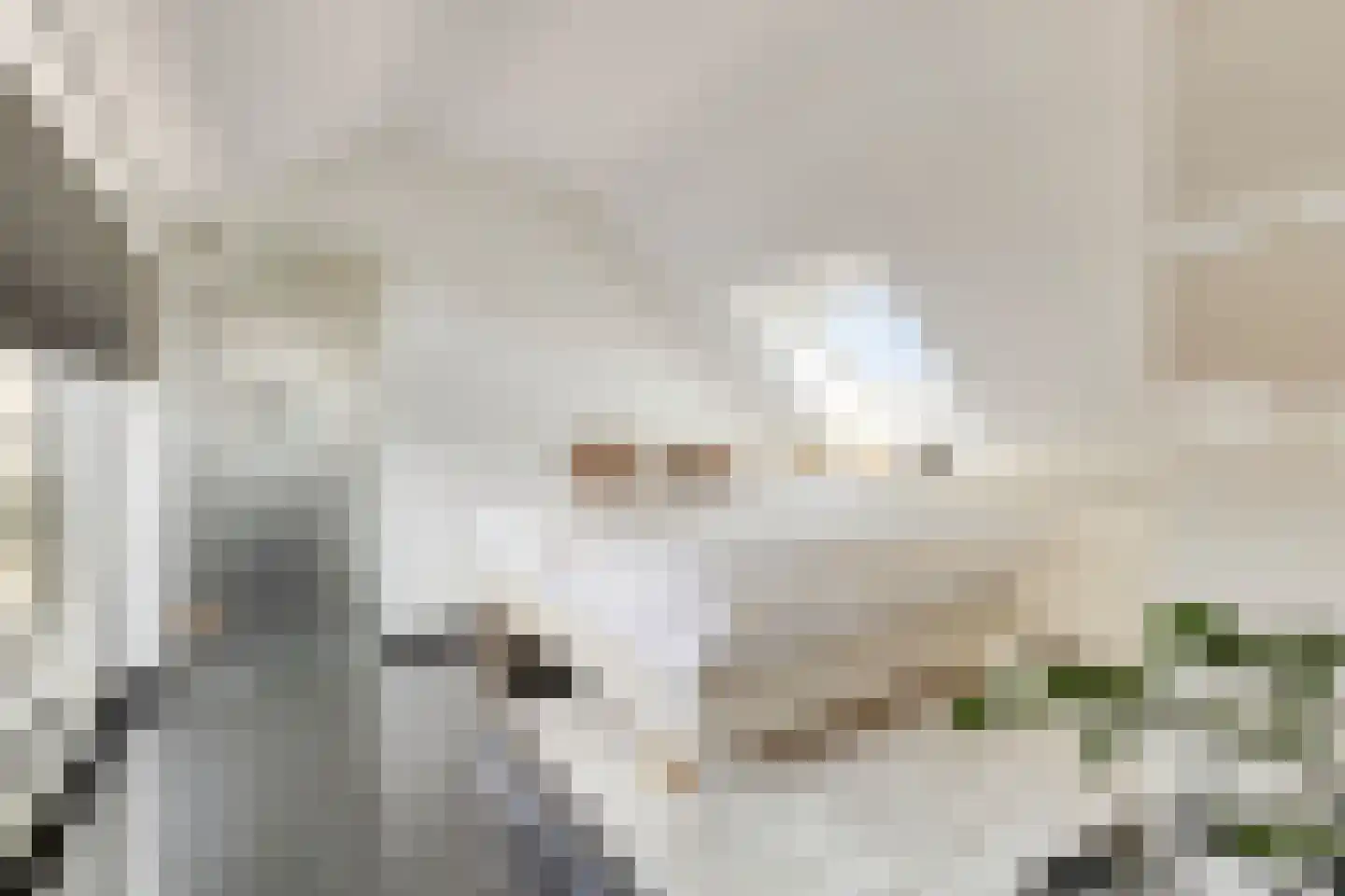 Kortestraat 5 Wageningen thumbnail 6