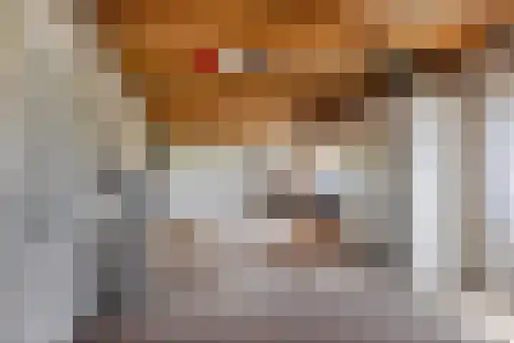 Kortestraat 6 Langenboom thumbnail 33