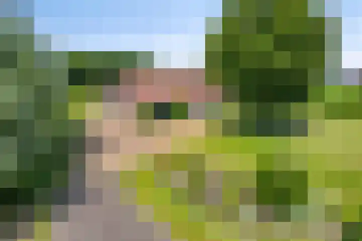 Kortestraat 6 Langenboom thumbnail 36