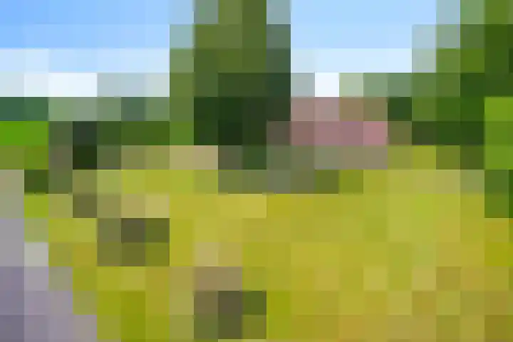 Kortestraat 6 Langenboom thumbnail 38