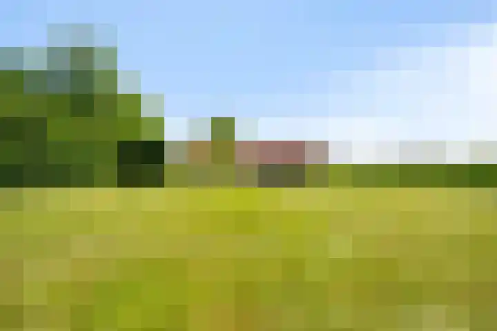 Kortestraat 6 Langenboom thumbnail 4