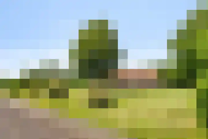 Kortestraat 6 Langenboom thumbnail 40