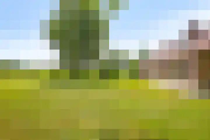 Kortestraat 6 Langenboom thumbnail 41