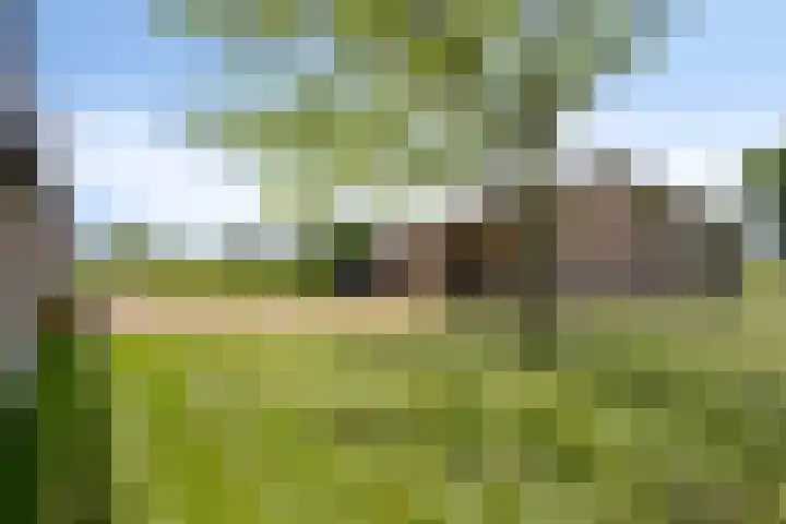 Kortestraat 6 Langenboom thumbnail 46