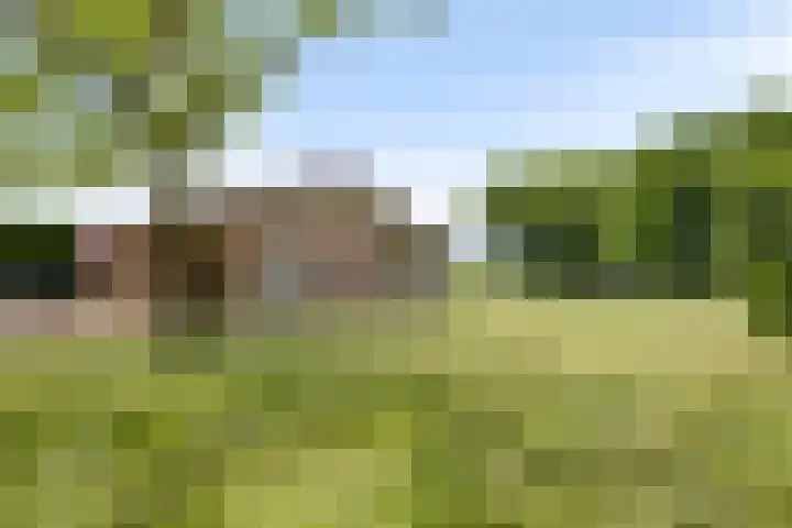 Kortestraat 6 Langenboom thumbnail 47