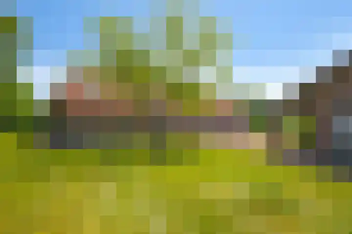 Kortestraat 6 Langenboom thumbnail 48