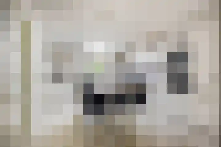 Kortestraat 6 Langenboom thumbnail 5