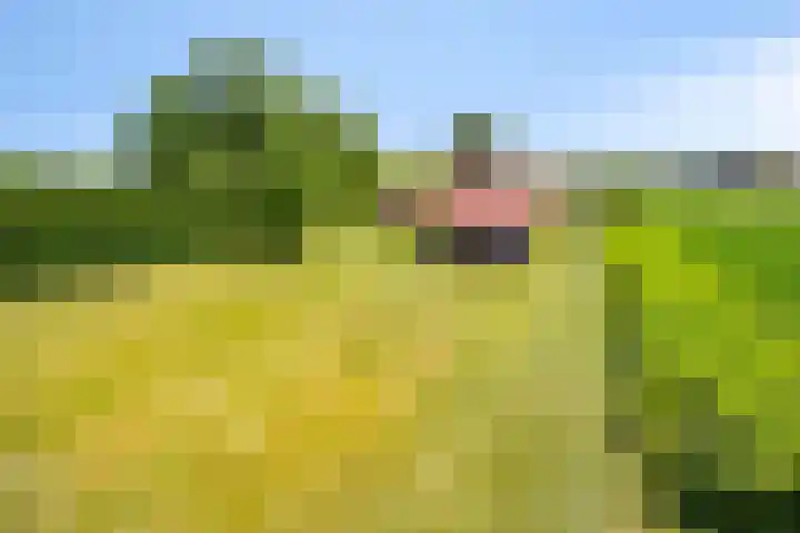Kortestraat 6 Langenboom thumbnail 50
