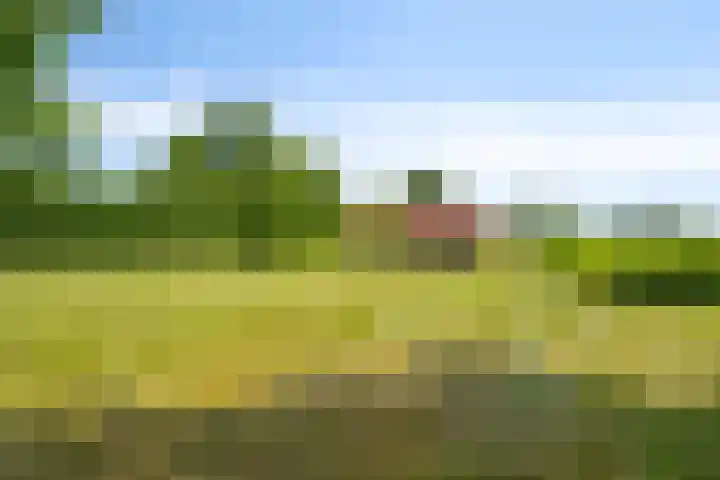 Kortestraat 6 Langenboom thumbnail 52