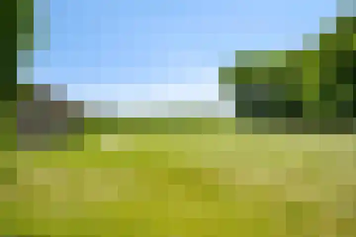 Kortestraat 6 Langenboom thumbnail 53