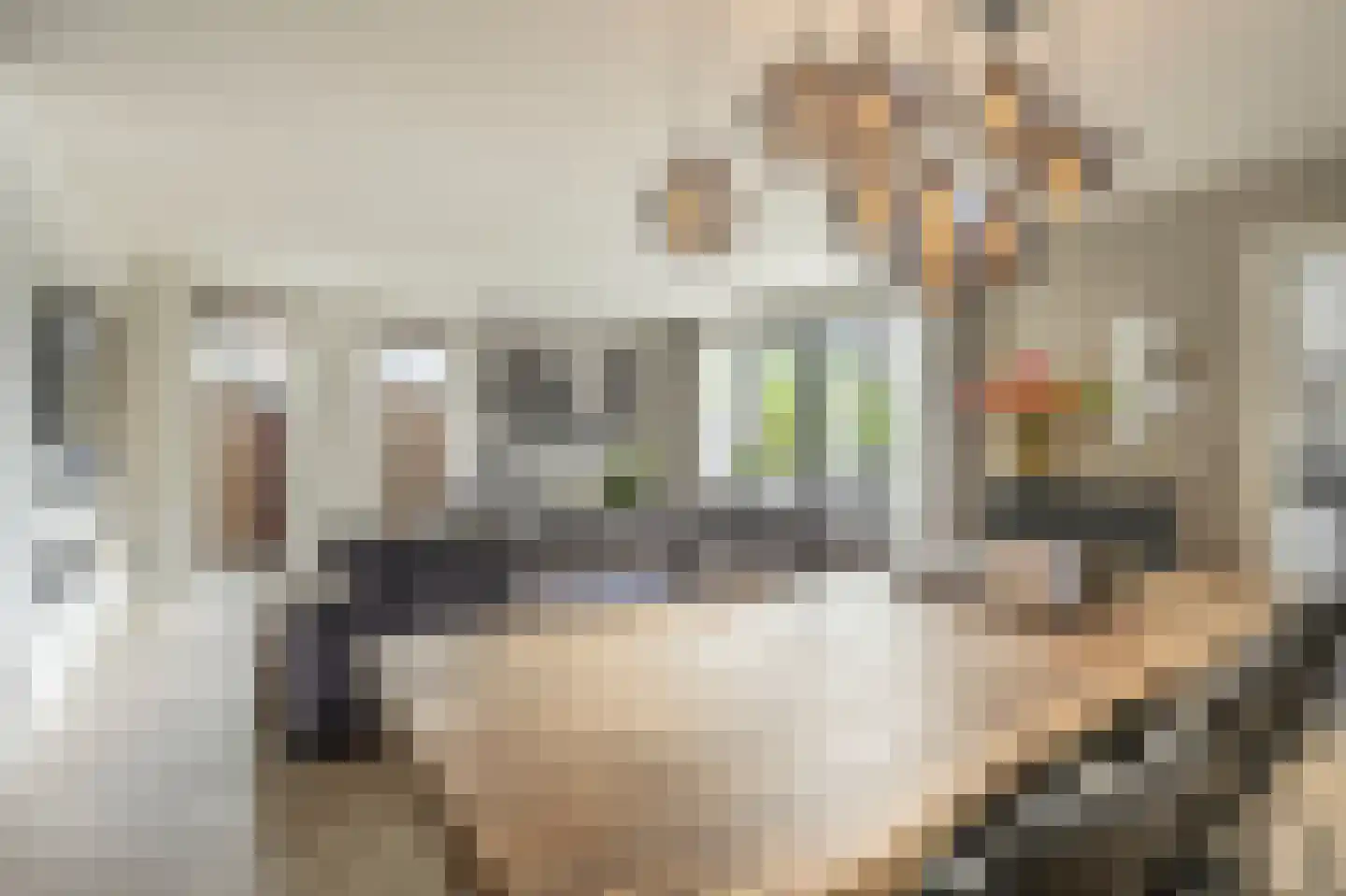 Kortestraat 6 's-Gravendeel thumbnail 21