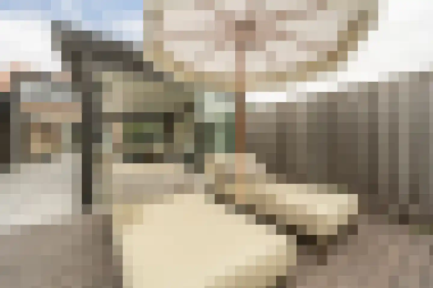 Kortestraat 6 's-Gravendeel thumbnail 74