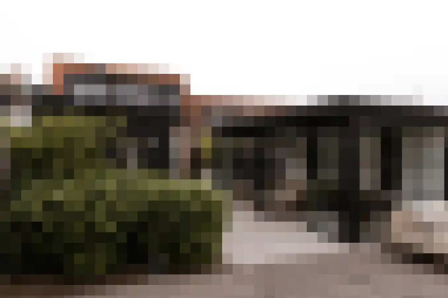 Kortestraat 6 's-Gravendeel thumbnail 86