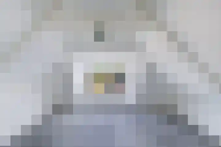 Kortestreek 6 Lemmer thumbnail 37