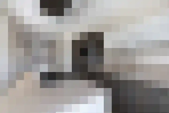 Kortestreek 6 Lemmer thumbnail 4