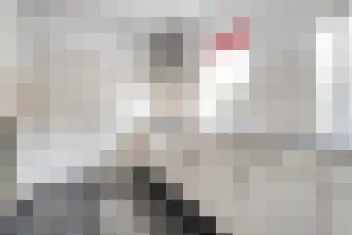 Korteveldsweg 8 Lemele thumbnail 12