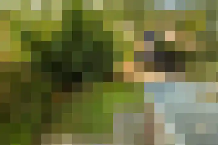 Korteveldsweg 8 Lemele thumbnail 23